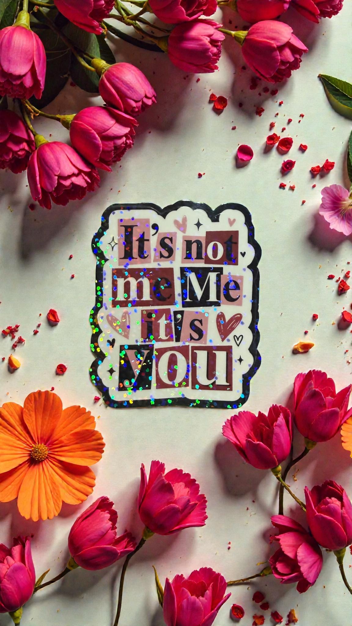 Forcebuilder sassy vinyl decal reads "It's Not Me It's You" bold statement sticker, perfect for Valentines Day or fun expression.